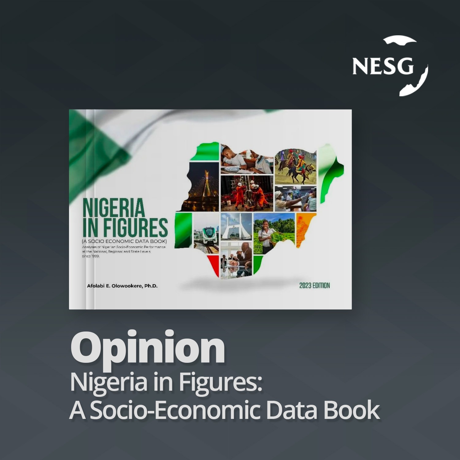 Opinion - Nigeria in Figures: A Socio-Economic Data Book